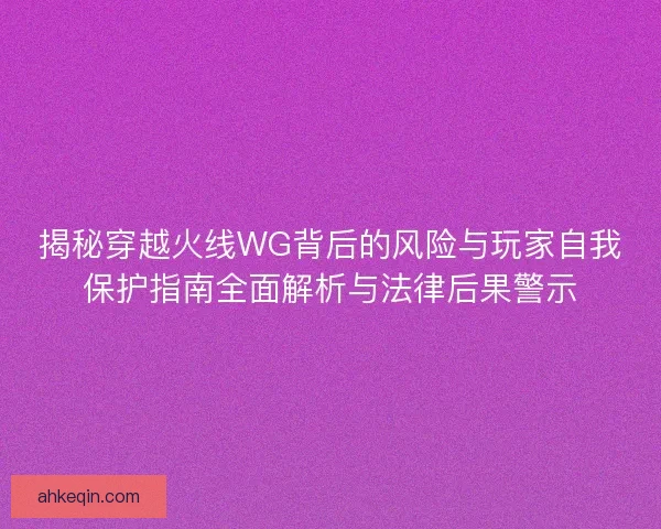 揭秘穿越火线WG背后的风险与玩家自我保护指南全面解析与法律后果警示