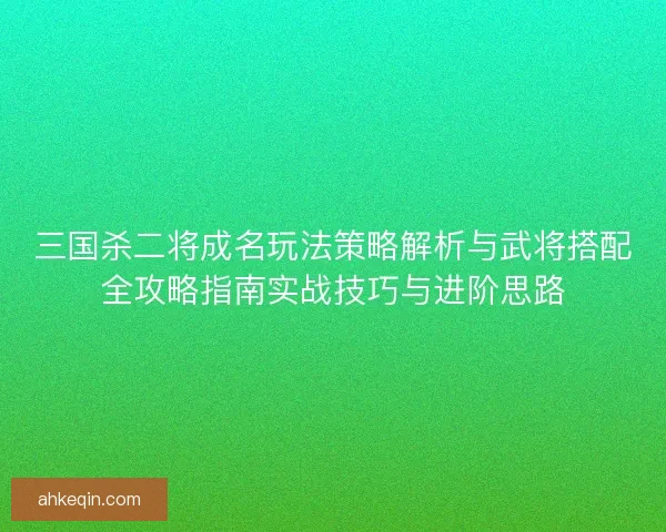 三国杀二将成名玩法策略解析与武将搭配全攻略指南实战技巧与进阶思路