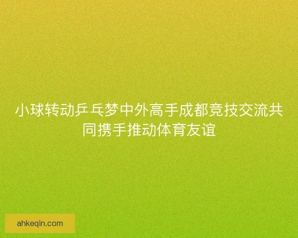 小球转动乒乓梦中外高手成都竞技交流共同携手推动体育友谊